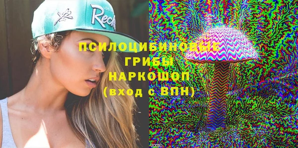 стаф Тавда