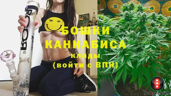соль курить ск Белокуриха