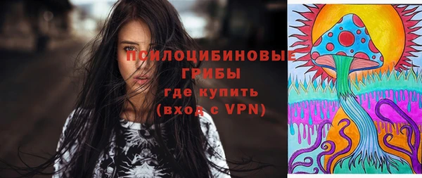 соль курить ск Белокуриха