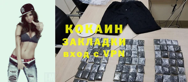 стаф Богородицк