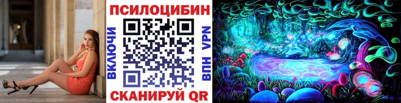 где купить   гидра вход  Псилоцибиновые грибы GOLDEN TEACHER  Очёр 